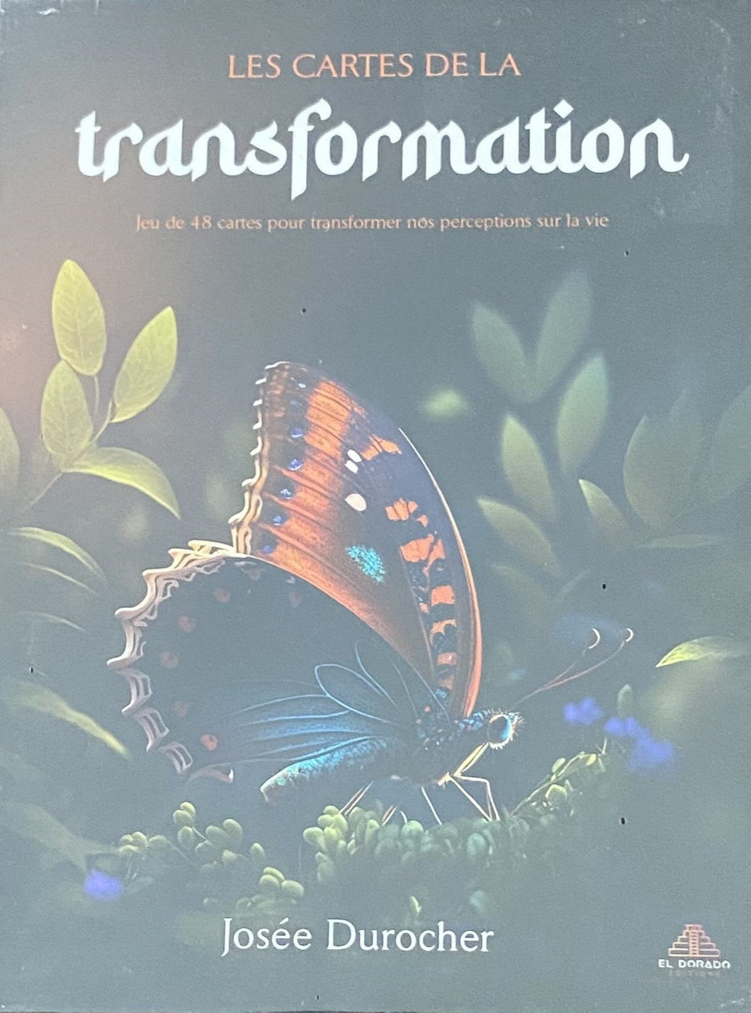 Les cartes de la Transformation