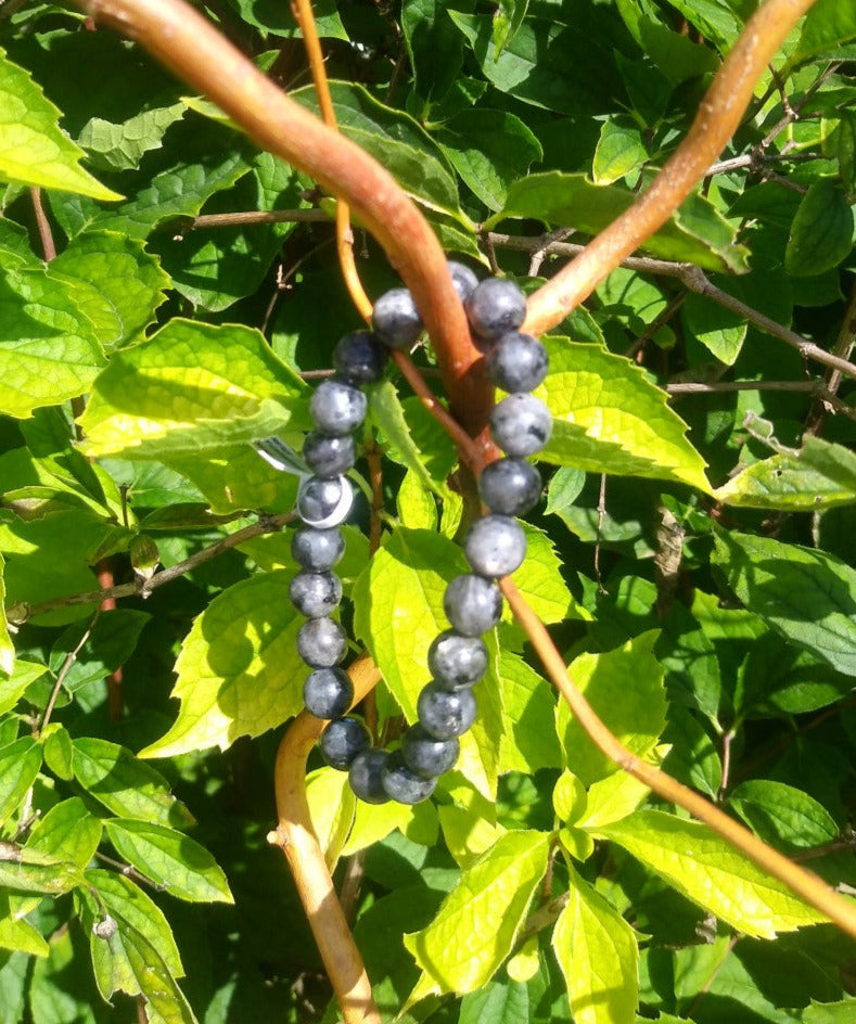 Bracelet Larkivite billes 8mm