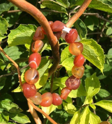 Bracelet Pierre polies Cornaline