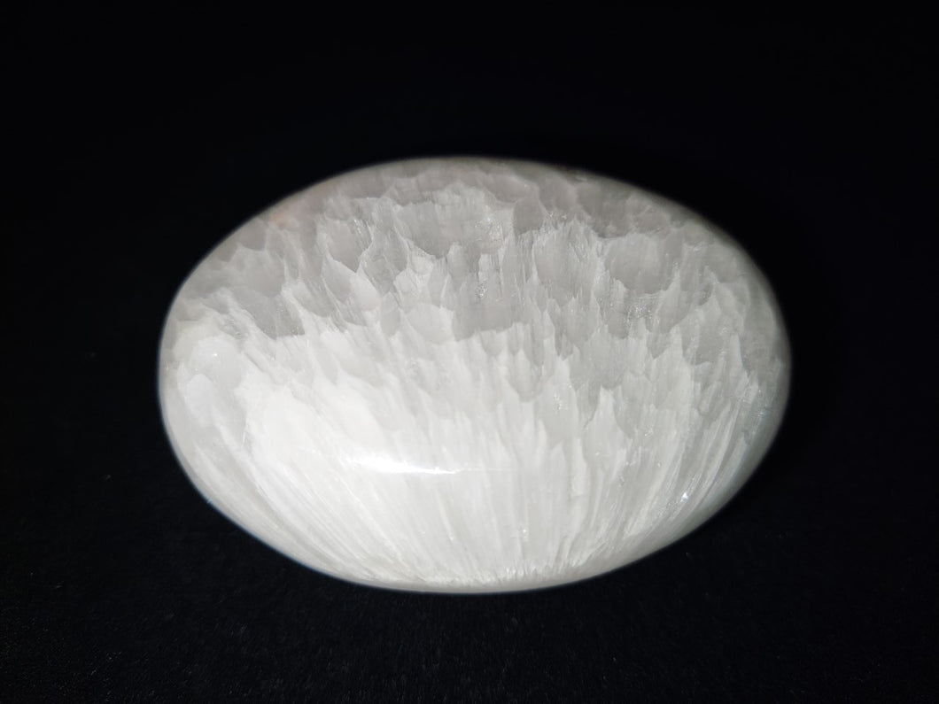 Scolecite palm