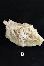 Charger l&#39;image dans la galerie, Scolecite brute.
